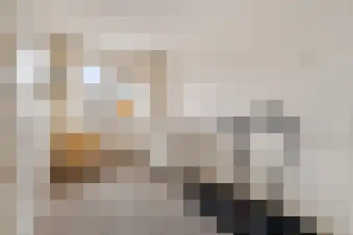 Prins Clausstraat 17 Genemuiden thumbnail 26