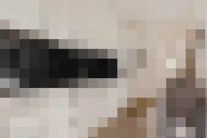 Prins Clausstraat 17 Genemuiden thumbnail 4