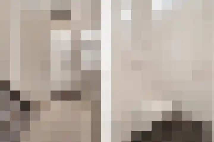 Prins Clausstraat 17 Genemuiden thumbnail 9