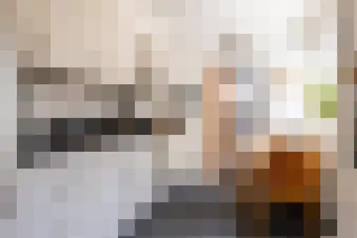 Prins Clausstraat 18 Genemuiden thumbnail 13