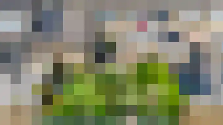 Prins Clausstraat 18 Genemuiden thumbnail 18