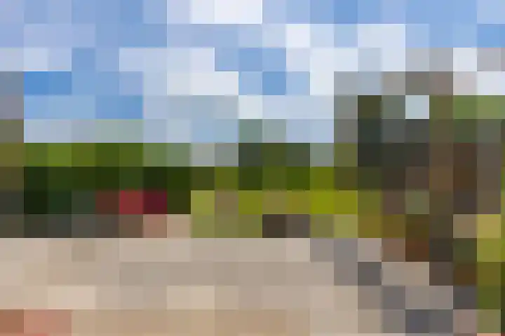 Prins Clausstraat 18 Genemuiden thumbnail 21