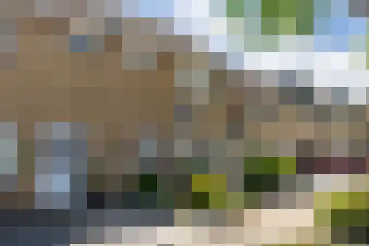 Prins Clausstraat 18 Genemuiden thumbnail 5