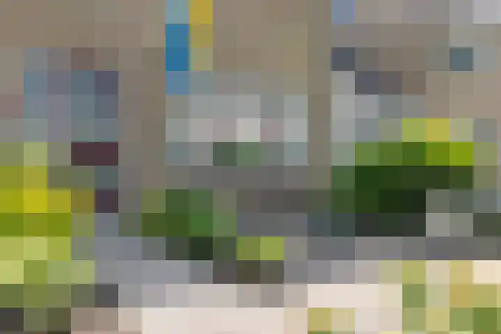 Prins Clausstraat 18 Genemuiden thumbnail 7