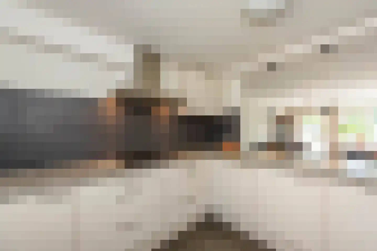 Prins Clausstraat 18 Haarlem thumbnail 17