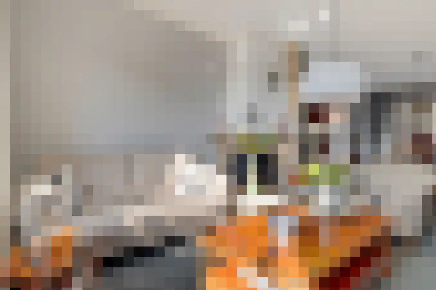 Prins Clausstraat 19 Genemuiden thumbnail 12
