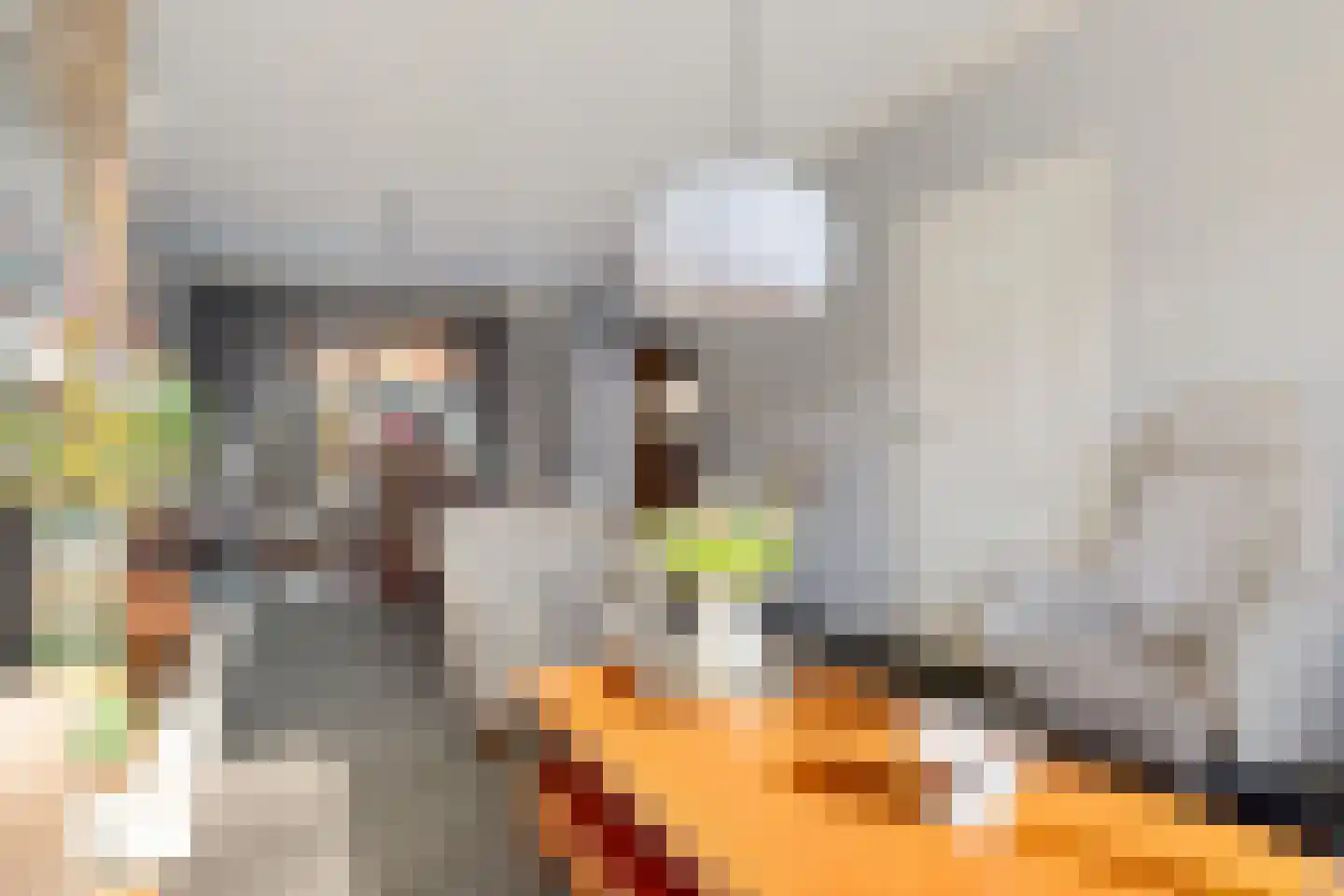Prins Clausstraat 19 Genemuiden thumbnail 13
