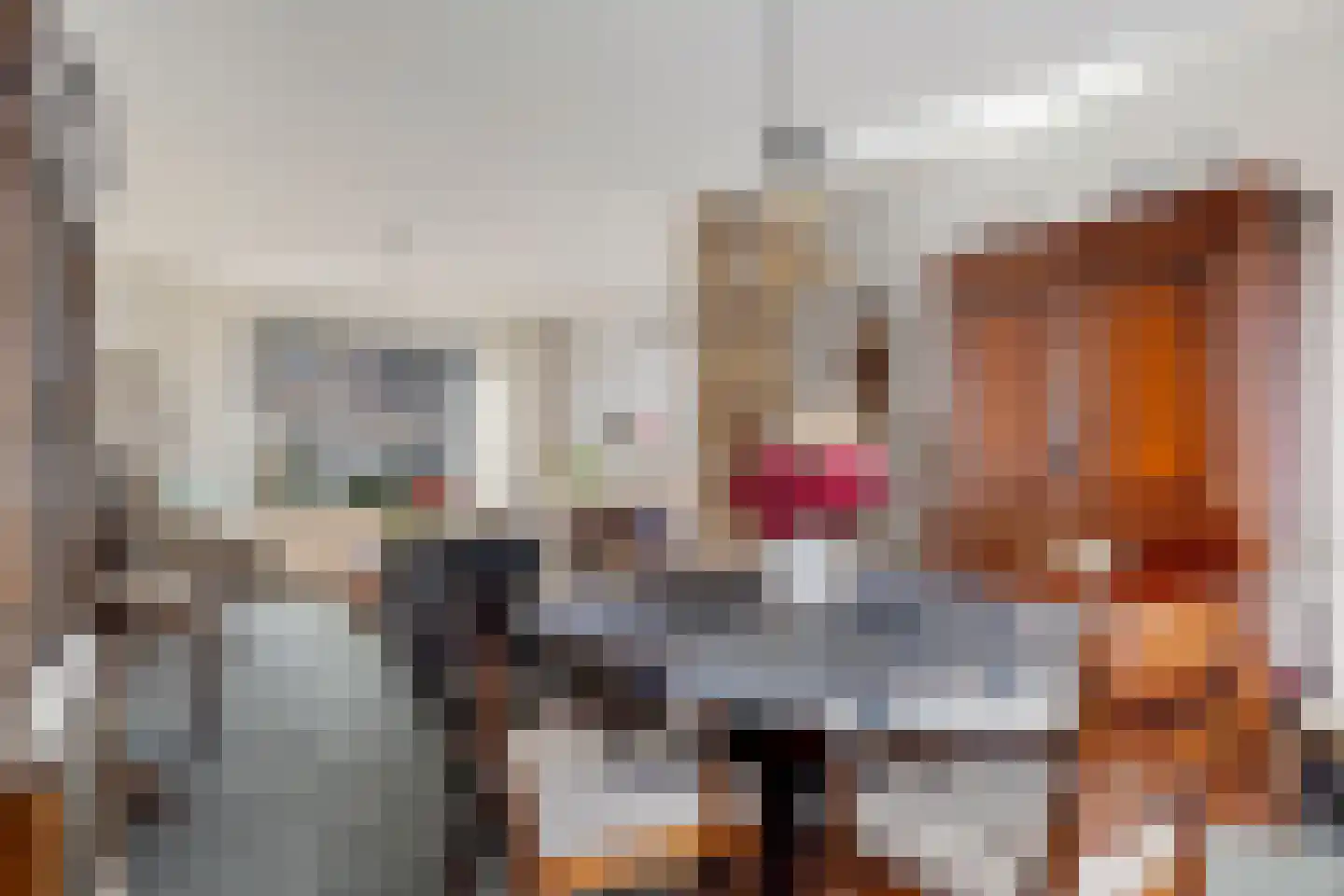 Prins Clausstraat 19 Genemuiden thumbnail 15