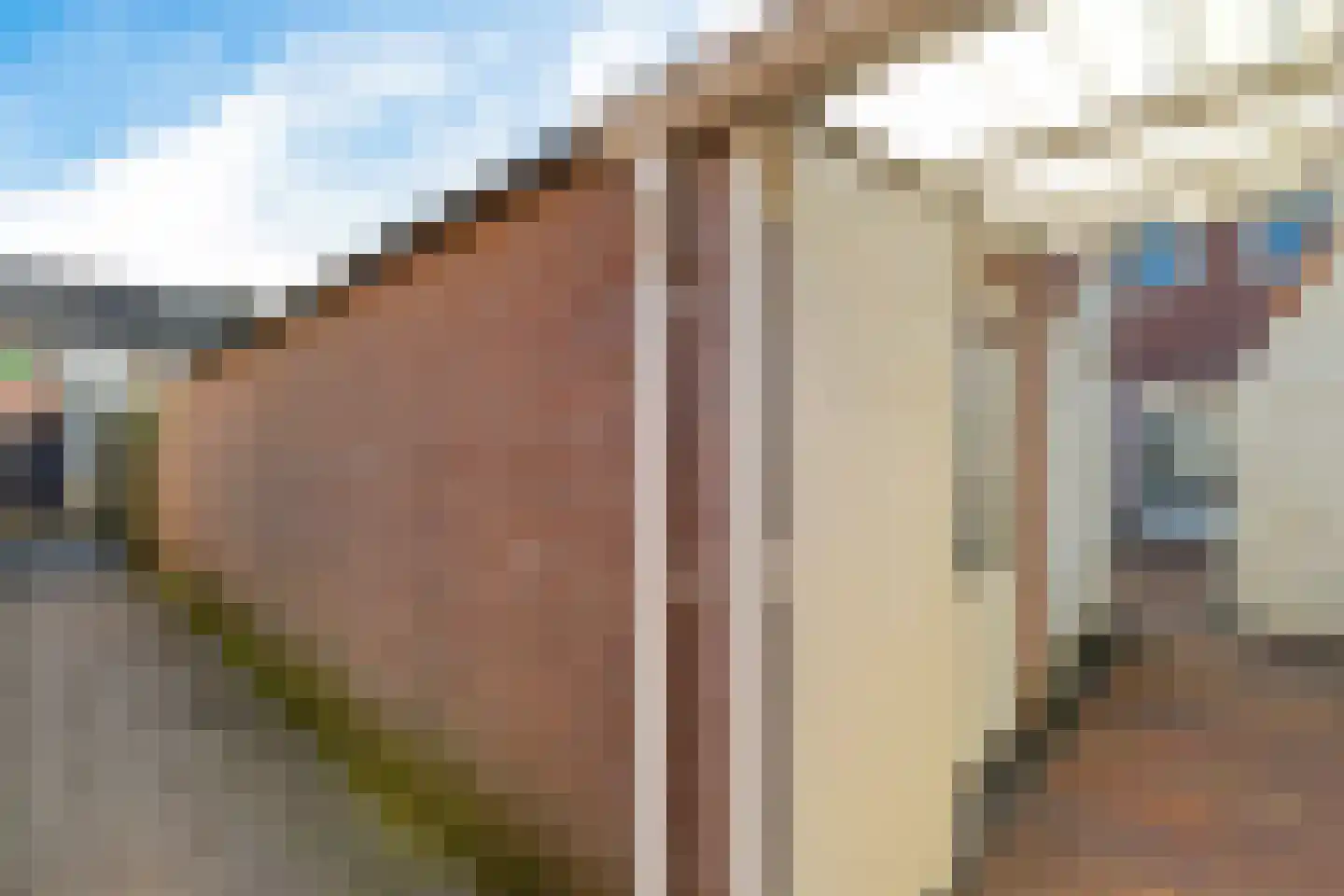 Prins Clausstraat 19 Genemuiden thumbnail 20