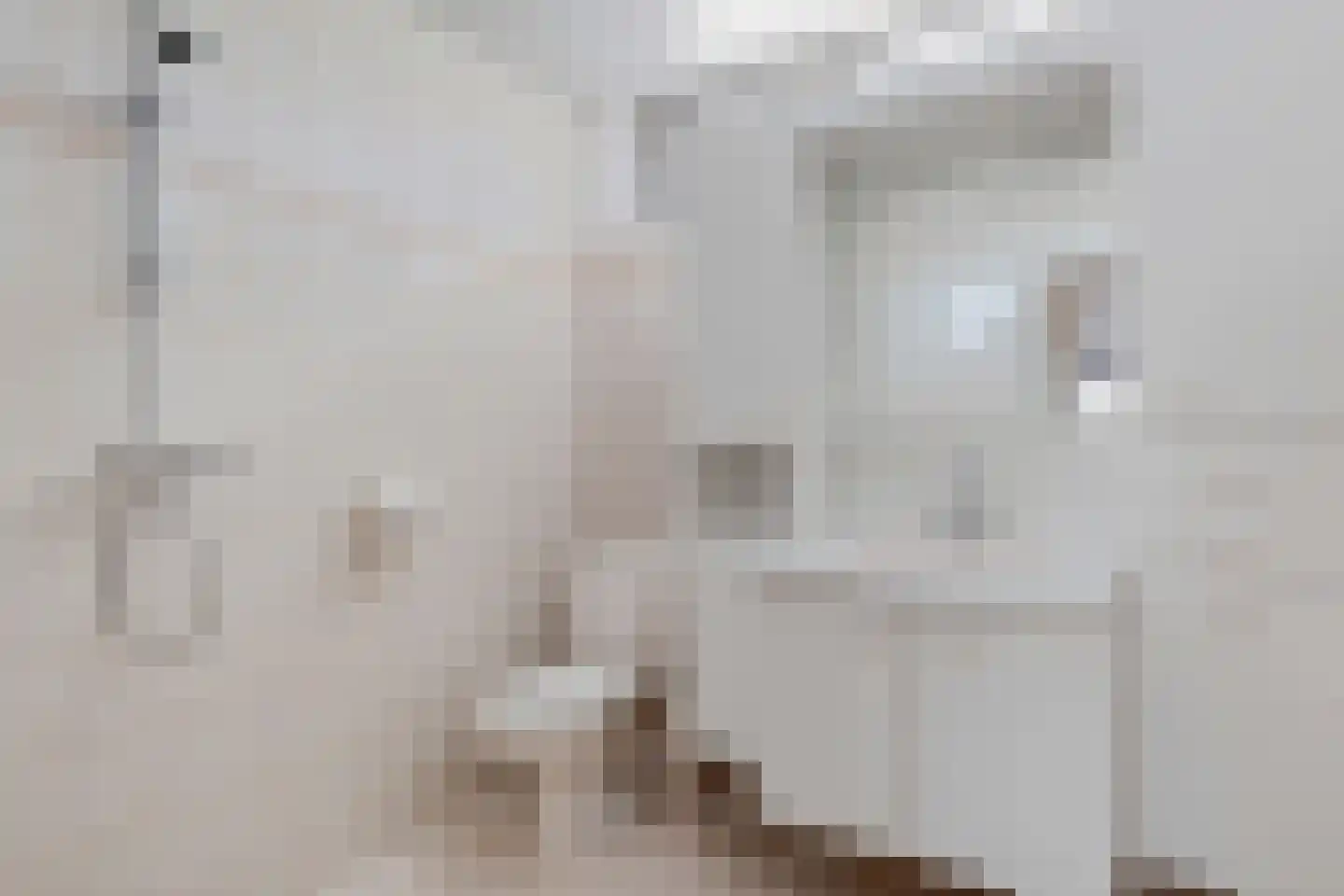 Prins Clausstraat 19 Genemuiden thumbnail 27