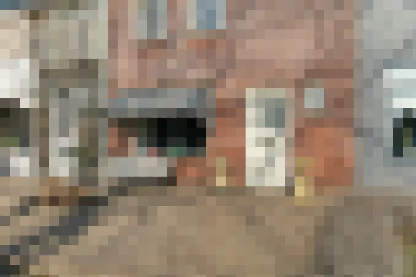 Prins Clausstraat 19 Genemuiden thumbnail 7