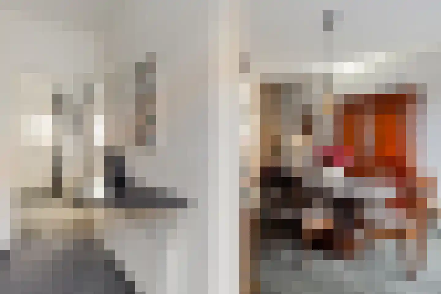 Prins Clausstraat 19 Genemuiden thumbnail 9