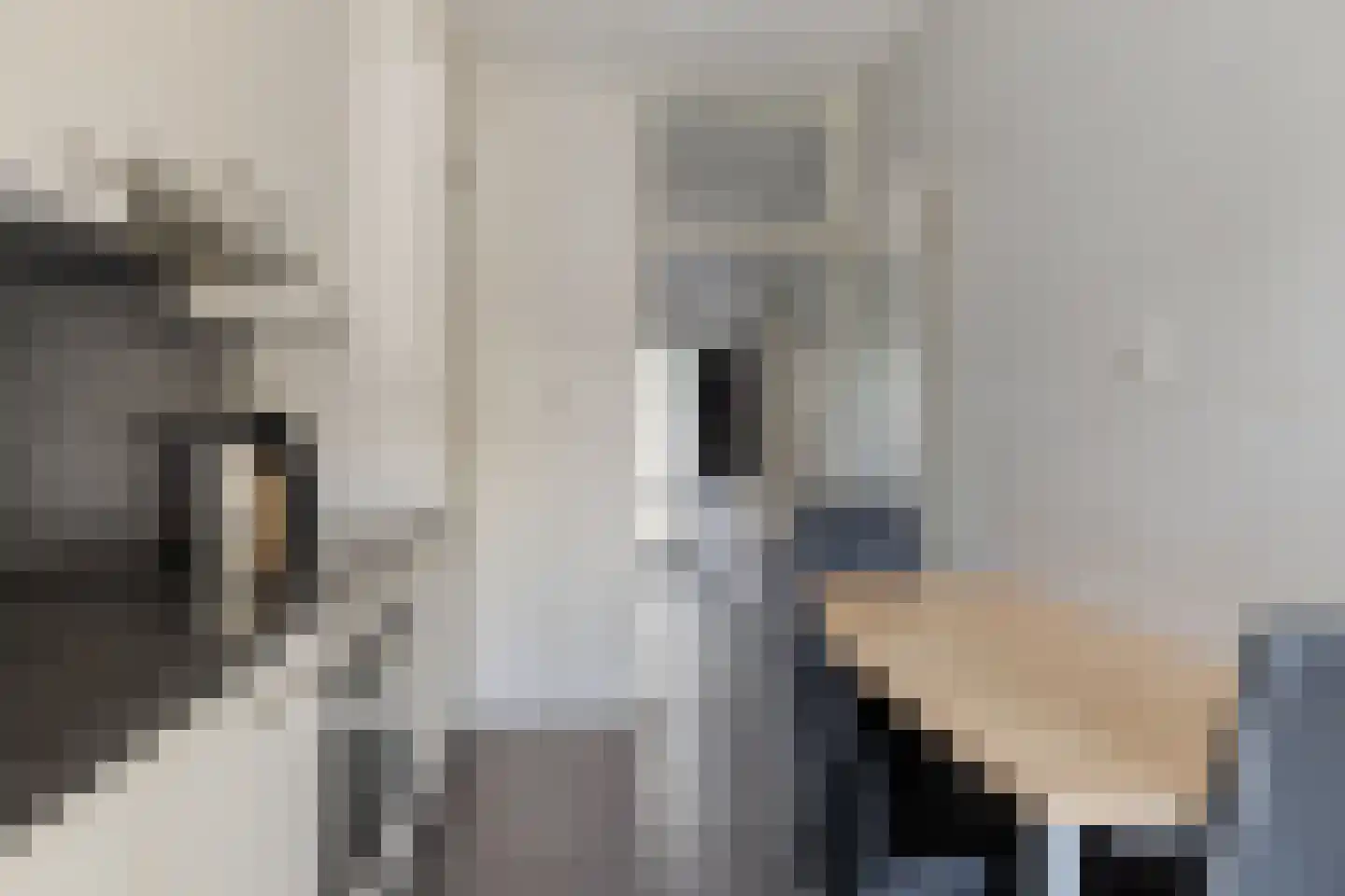 Prins Clausstraat 19 Terborg thumbnail 11