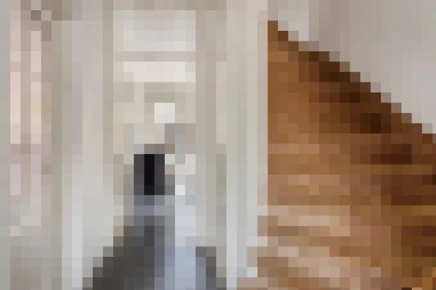 Prins Clausstraat 19 Terborg thumbnail 12