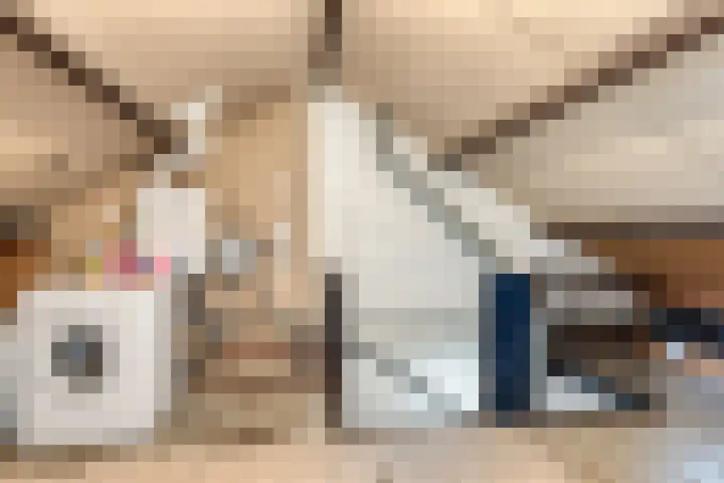 Prins Clausstraat 19 Terborg thumbnail 30