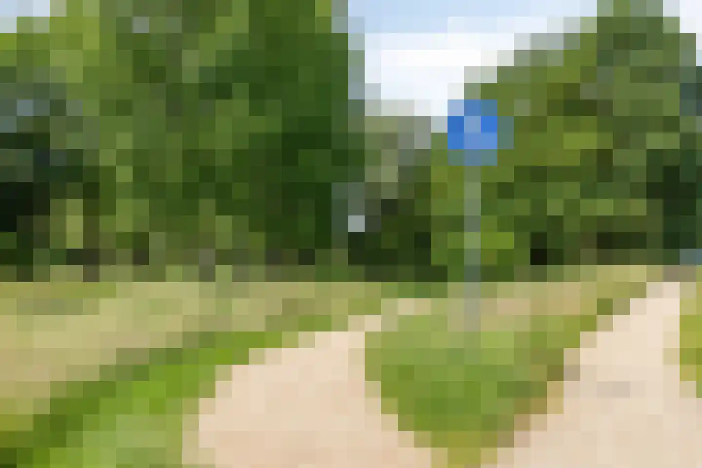 Prins Clausstraat 19 Terborg thumbnail 39