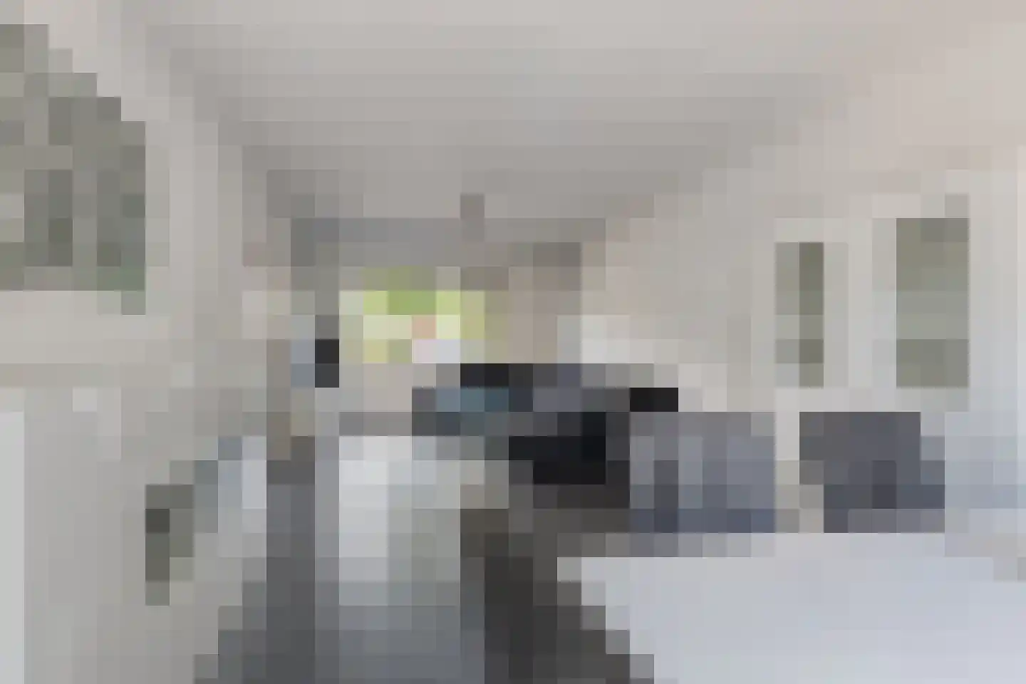 Prins Clausstraat 19 Terborg thumbnail 6
