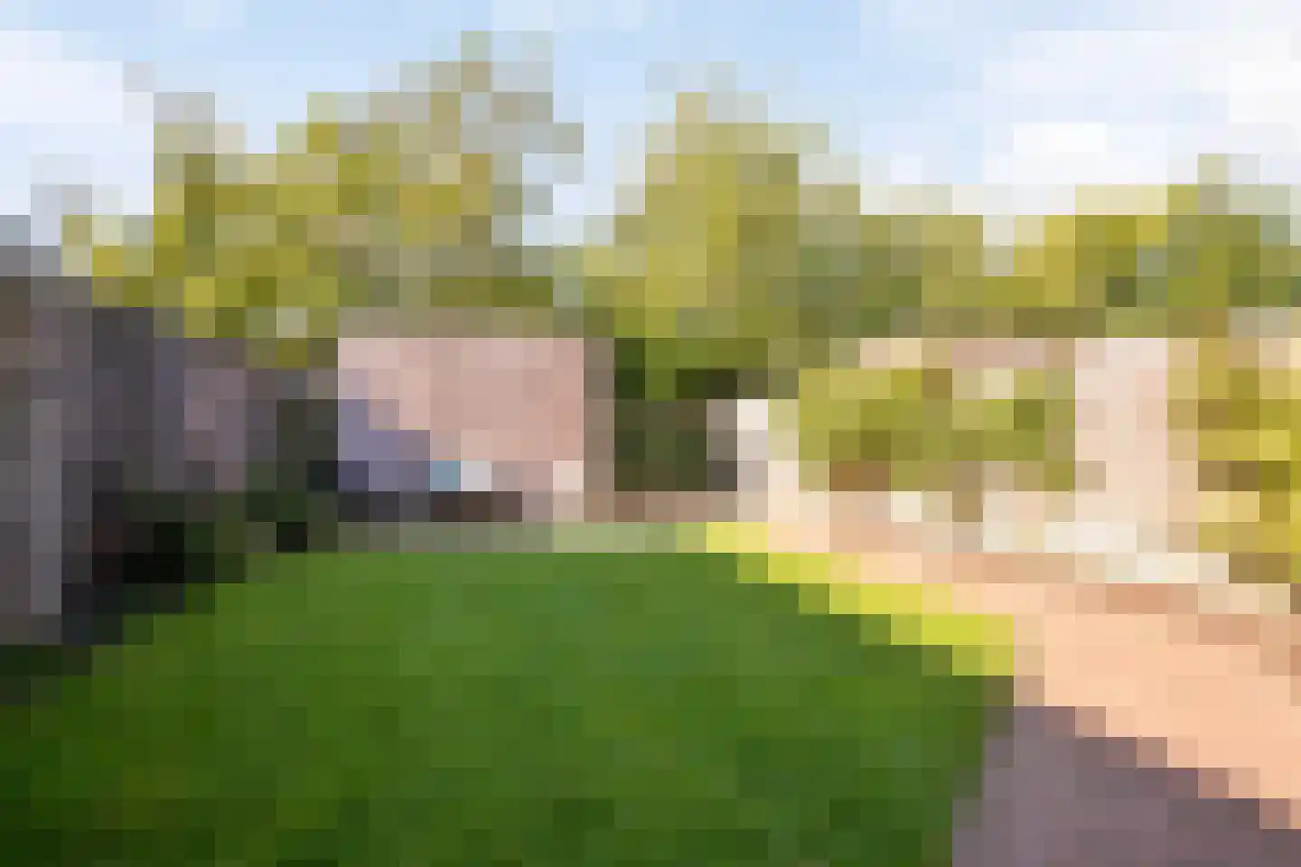 Prins Clausstraat 19 Zaltbommel thumbnail 27