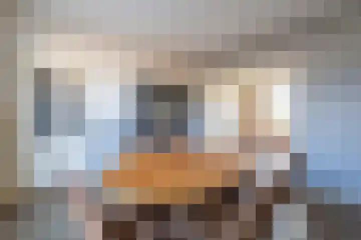 Prins Clausstraat 2 Vroomshoop thumbnail 11