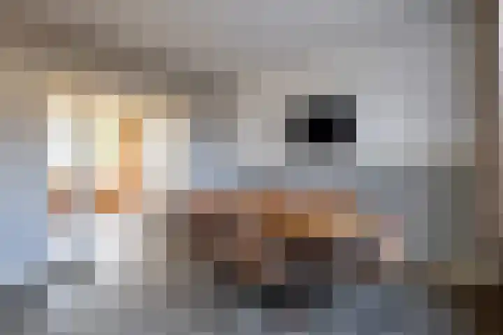 Prins Clausstraat 2 Vroomshoop thumbnail 14