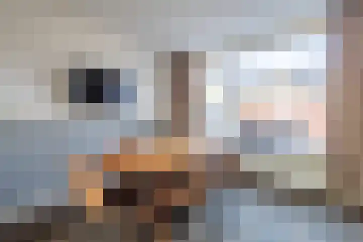 Prins Clausstraat 2 Vroomshoop thumbnail 15