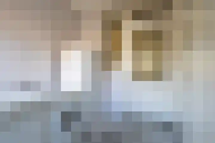 Prins Clausstraat 2 Vroomshoop thumbnail 21