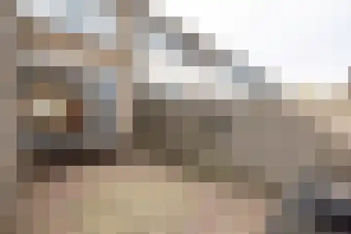 Prins Clausstraat 2 Vroomshoop thumbnail 31