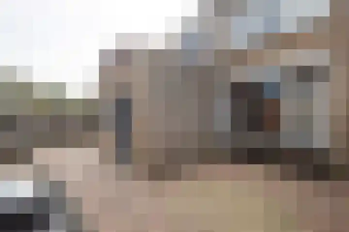 Prins Clausstraat 2 Vroomshoop thumbnail 32