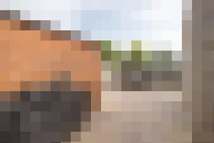 Prins Clausstraat 2 Vroomshoop thumbnail 35