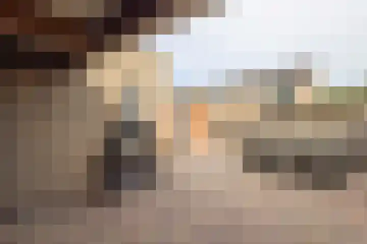 Prins Clausstraat 2 Vroomshoop thumbnail 37