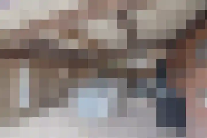 Prins Clausstraat 2 Vroomshoop thumbnail 38