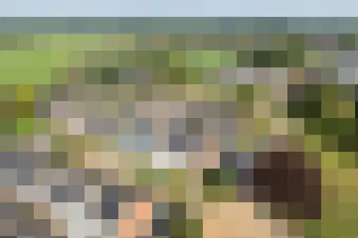 Prins Clausstraat 2 Vroomshoop thumbnail 4