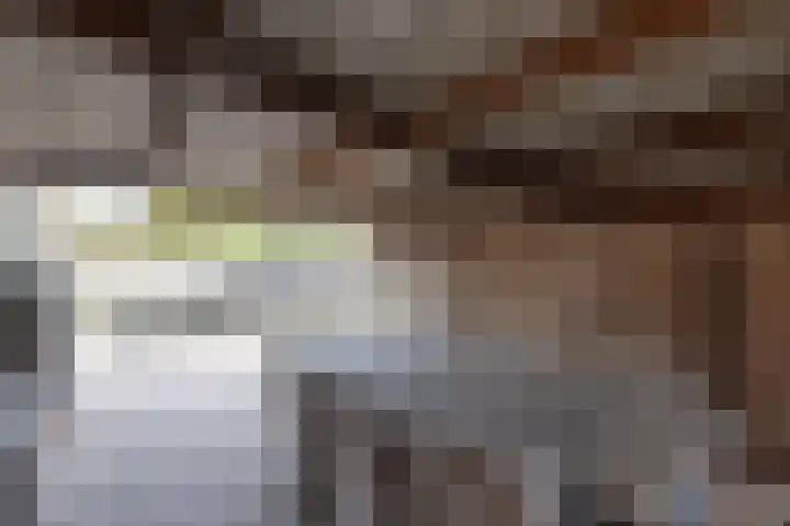 Prins Clausstraat 2 Vroomshoop thumbnail 41