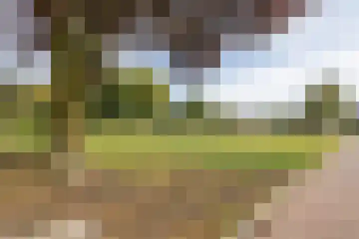 Prins Clausstraat 2 Vroomshoop thumbnail 45