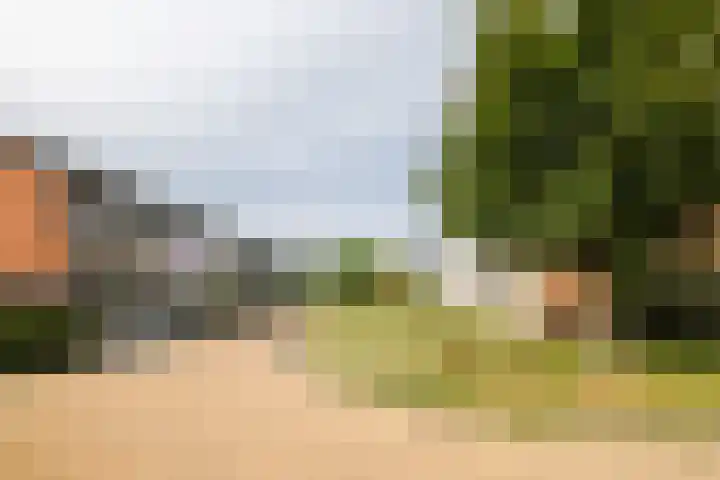 Prins Clausstraat 2 Vroomshoop thumbnail 47
