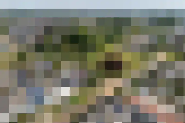 Prins Clausstraat 2 Vroomshoop thumbnail 5