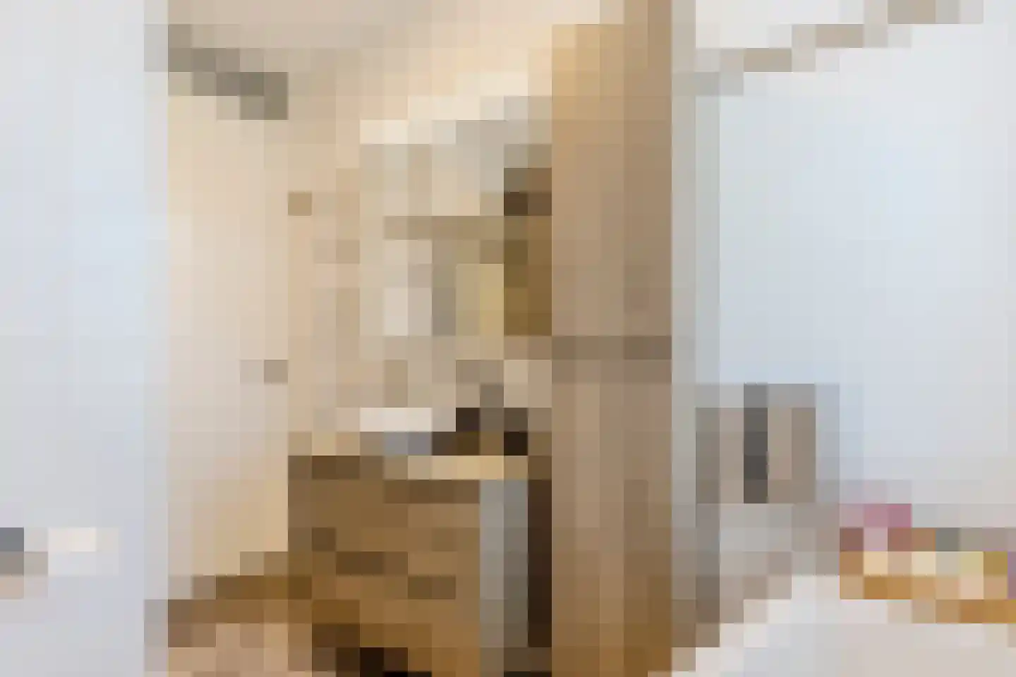 Prins Clausstraat 26 Oosterhout thumbnail 20