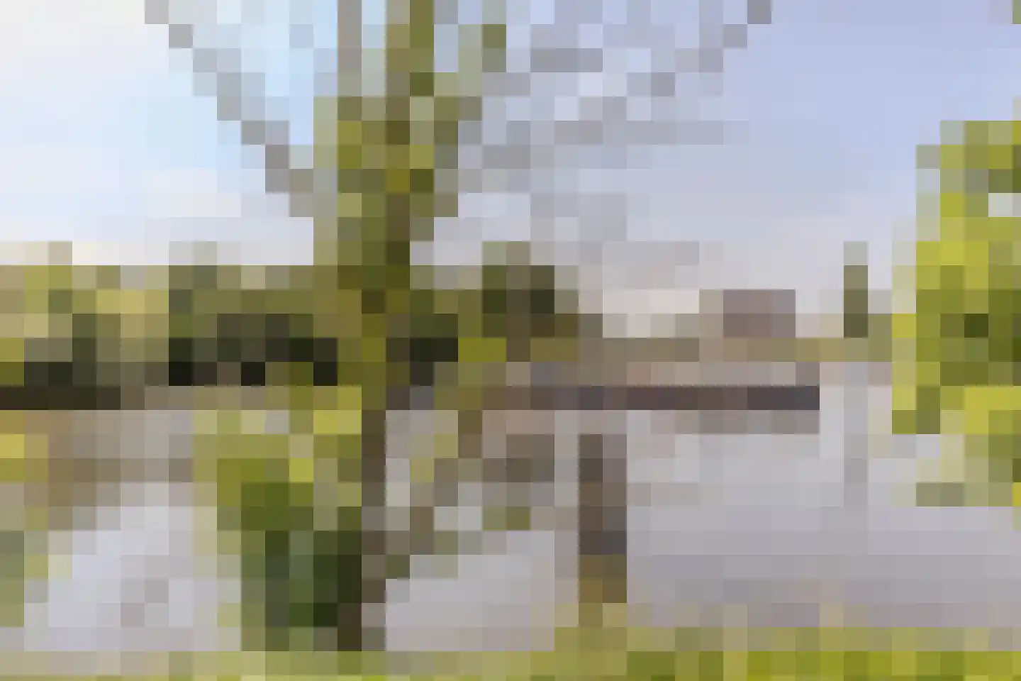 Prins Clausstraat 26 Oosterhout thumbnail 27