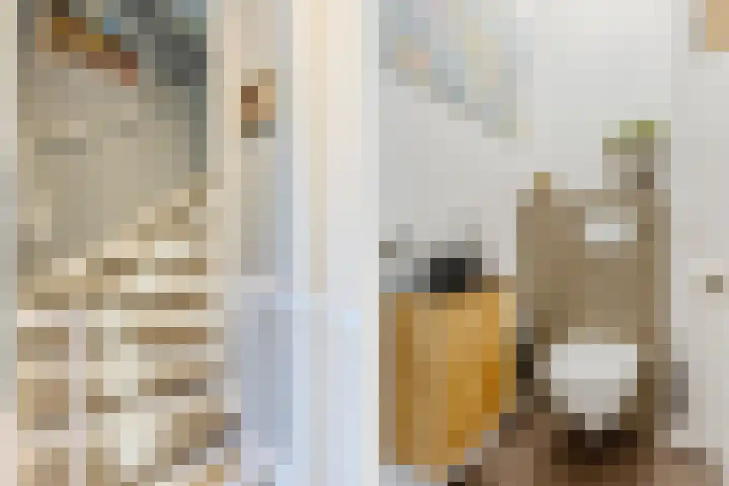 Prins Clausstraat 26 Oosterhout thumbnail 4