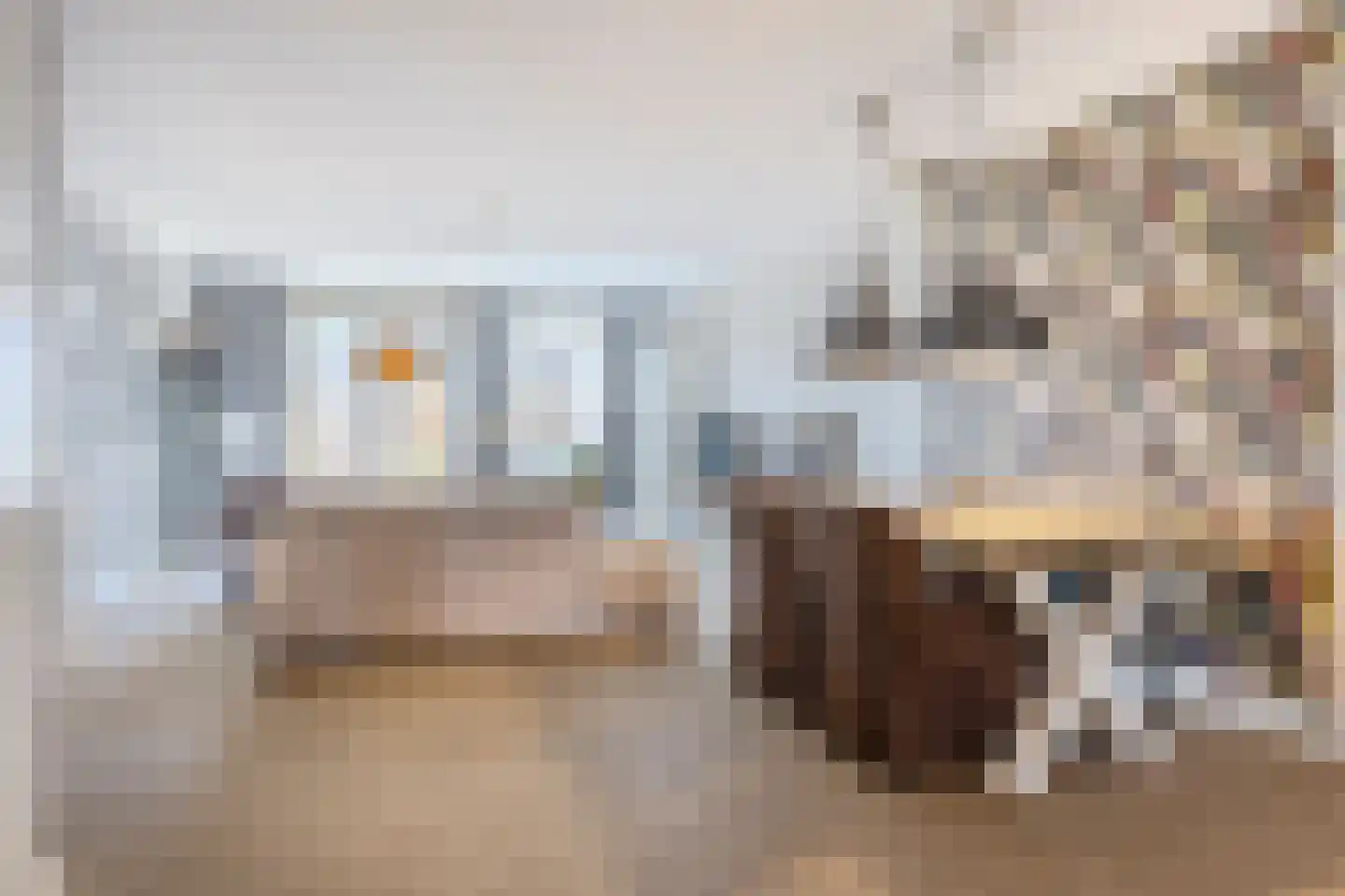 Prins Clausstraat 26 Oosterhout thumbnail 8