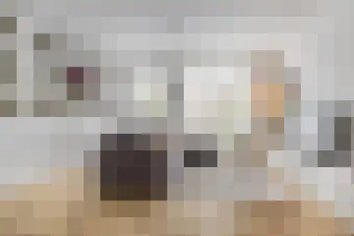 Prins Clausstraat 27 Oosterhout thumbnail 10