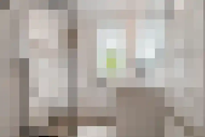 Prins Clausstraat 27 Oosterhout thumbnail 27