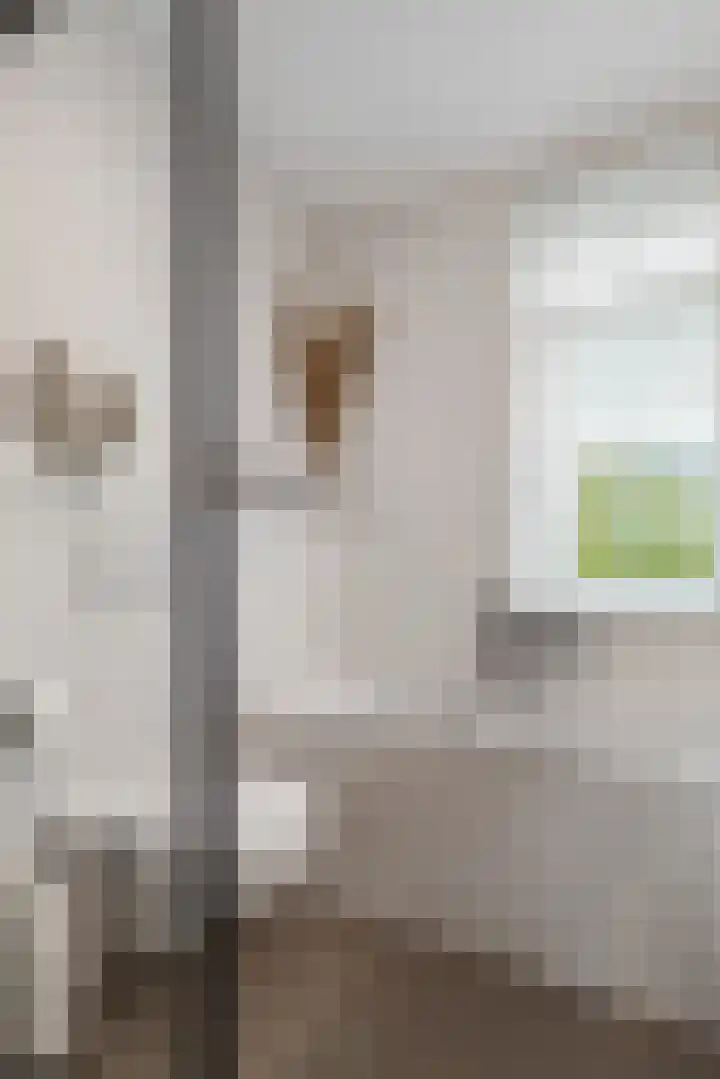 Prins Clausstraat 27 Oosterhout thumbnail 29