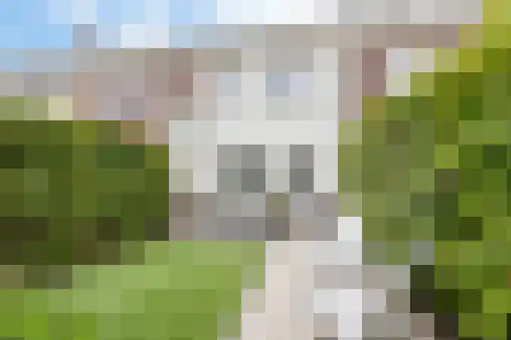 Prins Clausstraat 27 Oosterhout thumbnail 33
