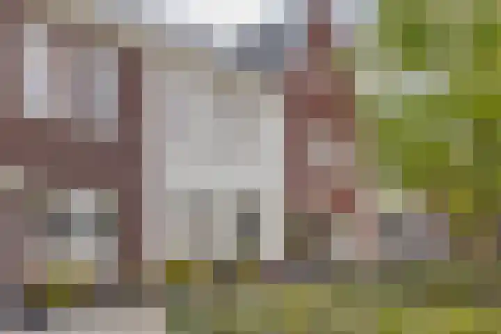 Prins Clausstraat 27 Oosterhout thumbnail 6