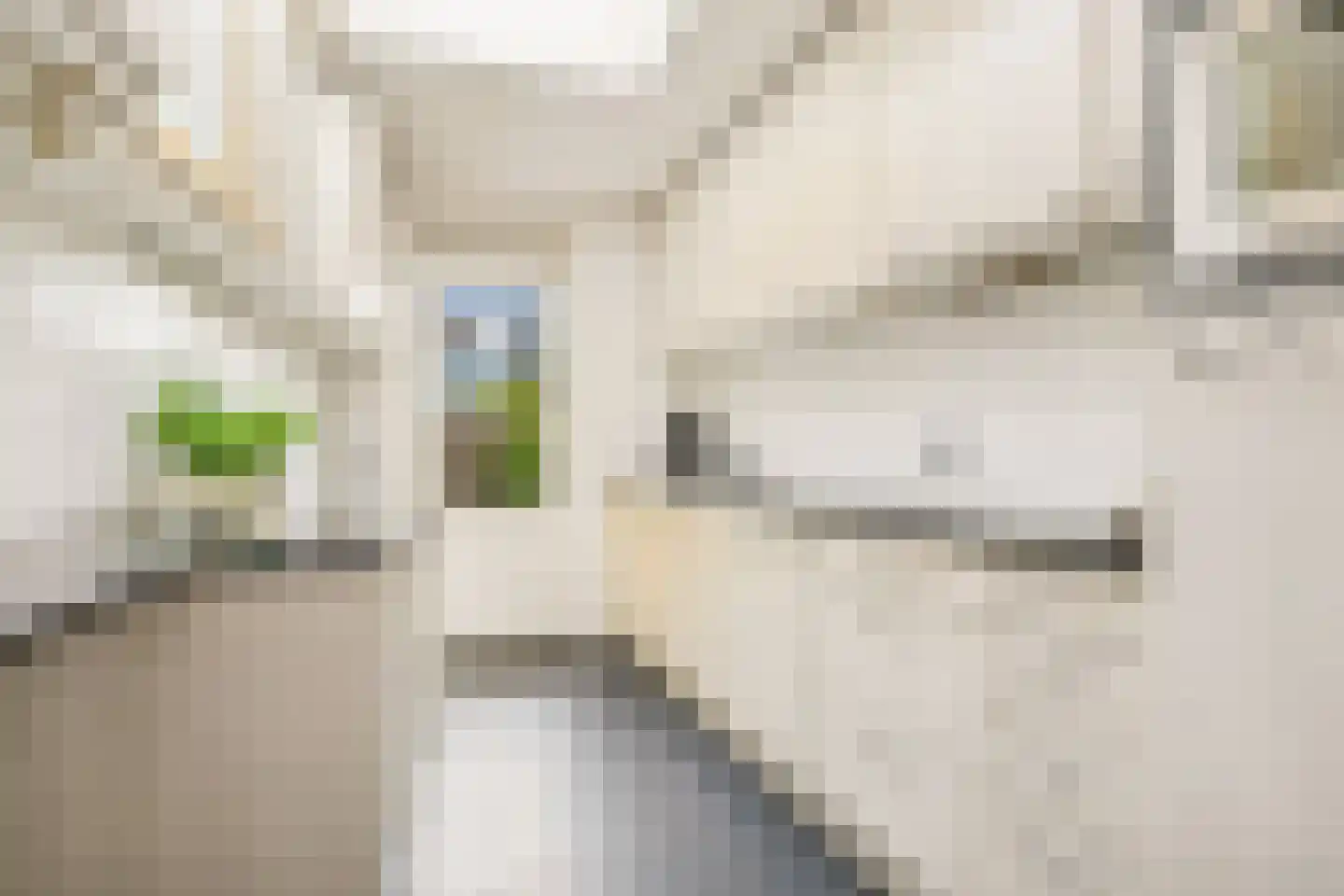 Prins Clausstraat 29 Houten thumbnail 13