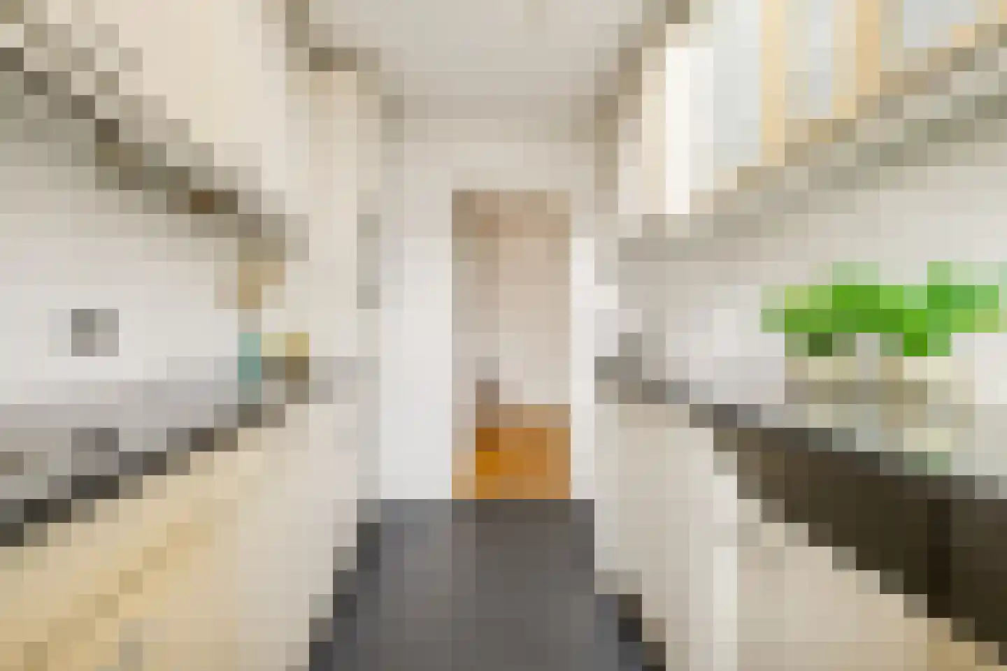 Prins Clausstraat 29 Houten thumbnail 14