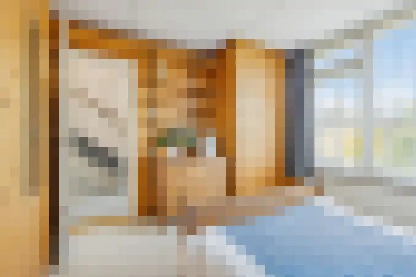 Prins Clausstraat 29 Houten thumbnail 21
