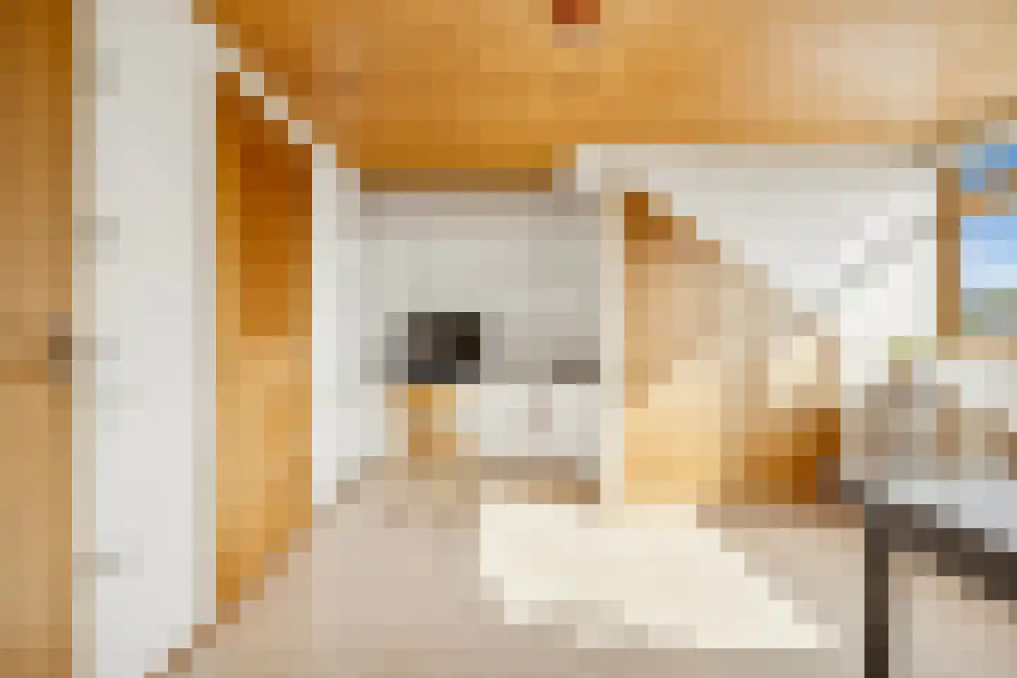 Prins Clausstraat 29 Houten thumbnail 28