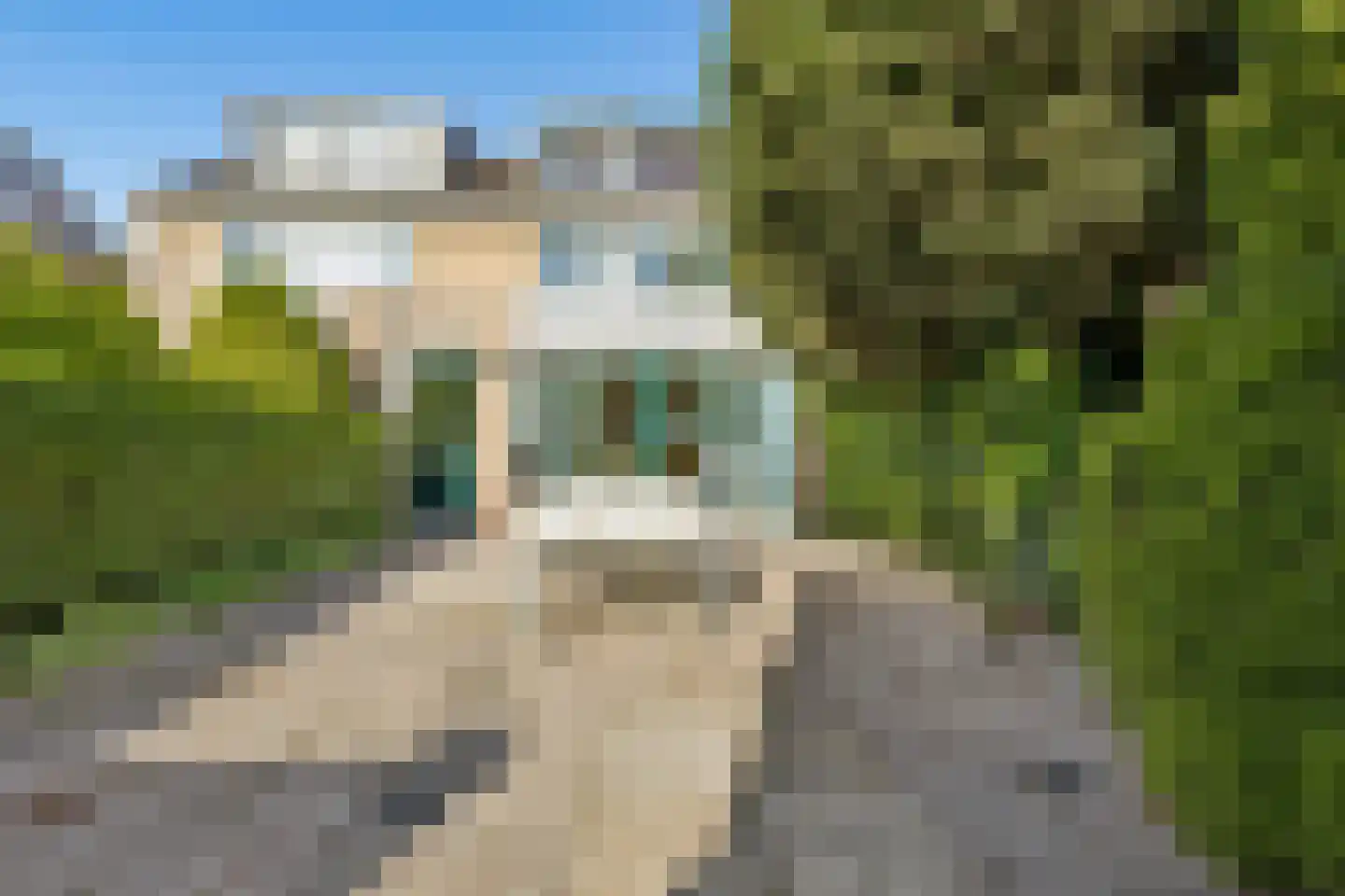 Prins Clausstraat 29 Houten thumbnail 32